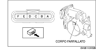 ISPEZIONE CORPO FARFALLATO